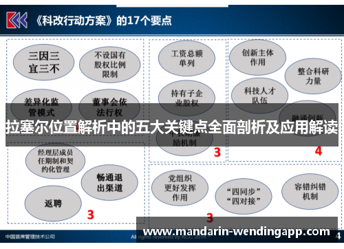 拉塞尔位置解析中的五大关键点全面剖析及应用解读