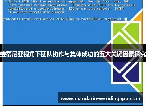 维蒂尼亚视角下团队协作与集体成功的五大关键因素探究