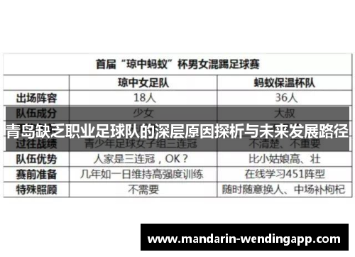 青岛缺乏职业足球队的深层原因探析与未来发展路径