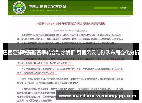 巴西足球联赛新赛季转会动态解析 引援风云与球队布局变化分析