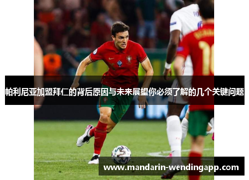 帕利尼亚加盟拜仁的背后原因与未来展望你必须了解的几个关键问题