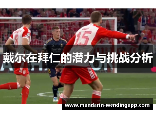 戴尔在拜仁的潜力与挑战分析 戴尔在拜仁的潜力与挑战分析