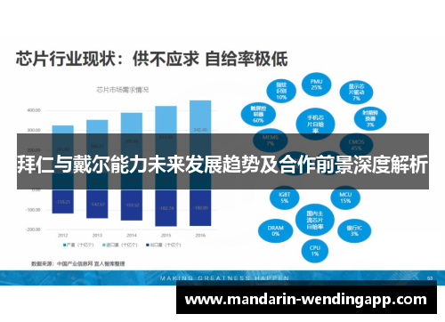 拜仁与戴尔能力未来发展趋势及合作前景深度解析