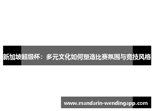 新加坡超级杯：多元文化如何塑造比赛氛围与竞技风格