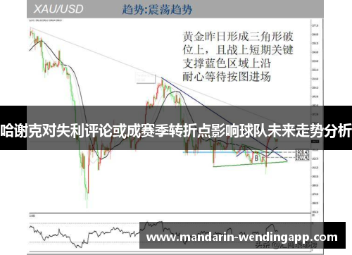 哈谢克对失利评论或成赛季转折点影响球队未来走势分析