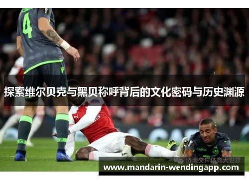 探索维尔贝克与黑贝称呼背后的文化密码与历史渊源