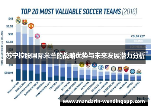 苏宁控股国际米兰的战略优势与未来发展潜力分析