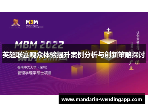英超联赛观众体验提升案例分析与创新策略探讨