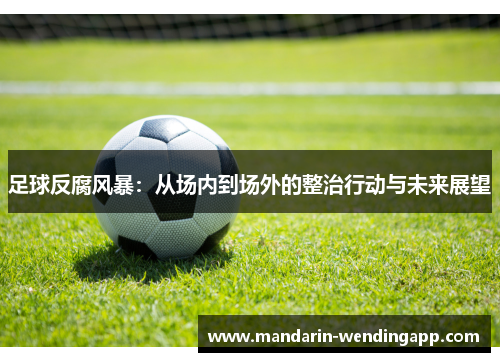 足球反腐风暴：从场内到场外的整治行动与未来展望