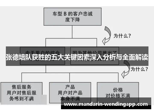 张德培队获胜的五大关键因素深入分析与全面解读