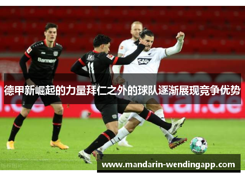 德甲新崛起的力量拜仁之外的球队逐渐展现竞争优势