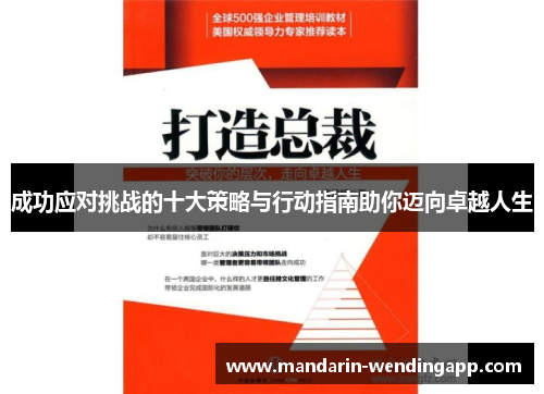 成功应对挑战的十大策略与行动指南助你迈向卓越人生