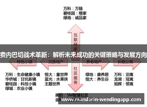 费内巴切战术革新：解析未来成功的关键策略与发展方向