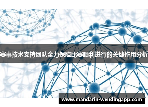 赛事技术支持团队全力保障比赛顺利进行的关键作用分析