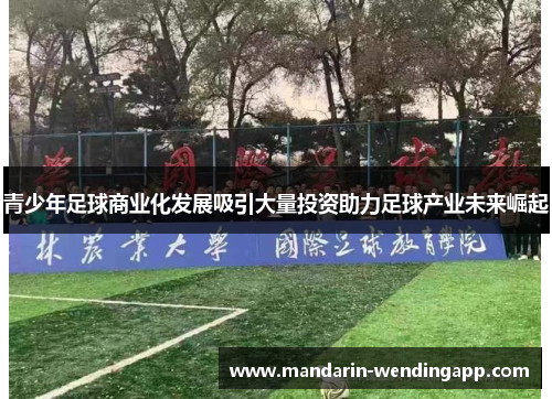 青少年足球商业化发展吸引大量投资助力足球产业未来崛起 青少年足球商业化发展吸引大量投资助力足球产业未来崛起