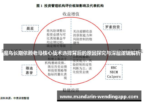 魔鸟长期依赖老马核心战术选择背后的原因探究与深层逻辑解析 魔鸟长期依赖老马核心战术选择背后的原因探究与深层逻辑解析
